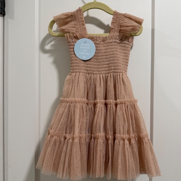 HILL HOUSE MOMMY & ME 2023 COLLECTOR EDITION ELLIE NAP DRESS BLUSH GLITTER TULLE - Picture 6 of 10